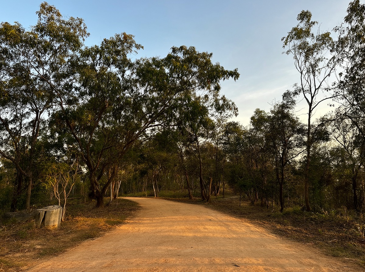 Natural park set location